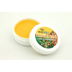Evija-Bite Beeswax ointment with honey and sea buckthorn oil 10g 