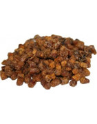 Bišu maize